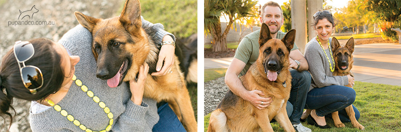 Nixon & Cash, German Shepherd Dogs